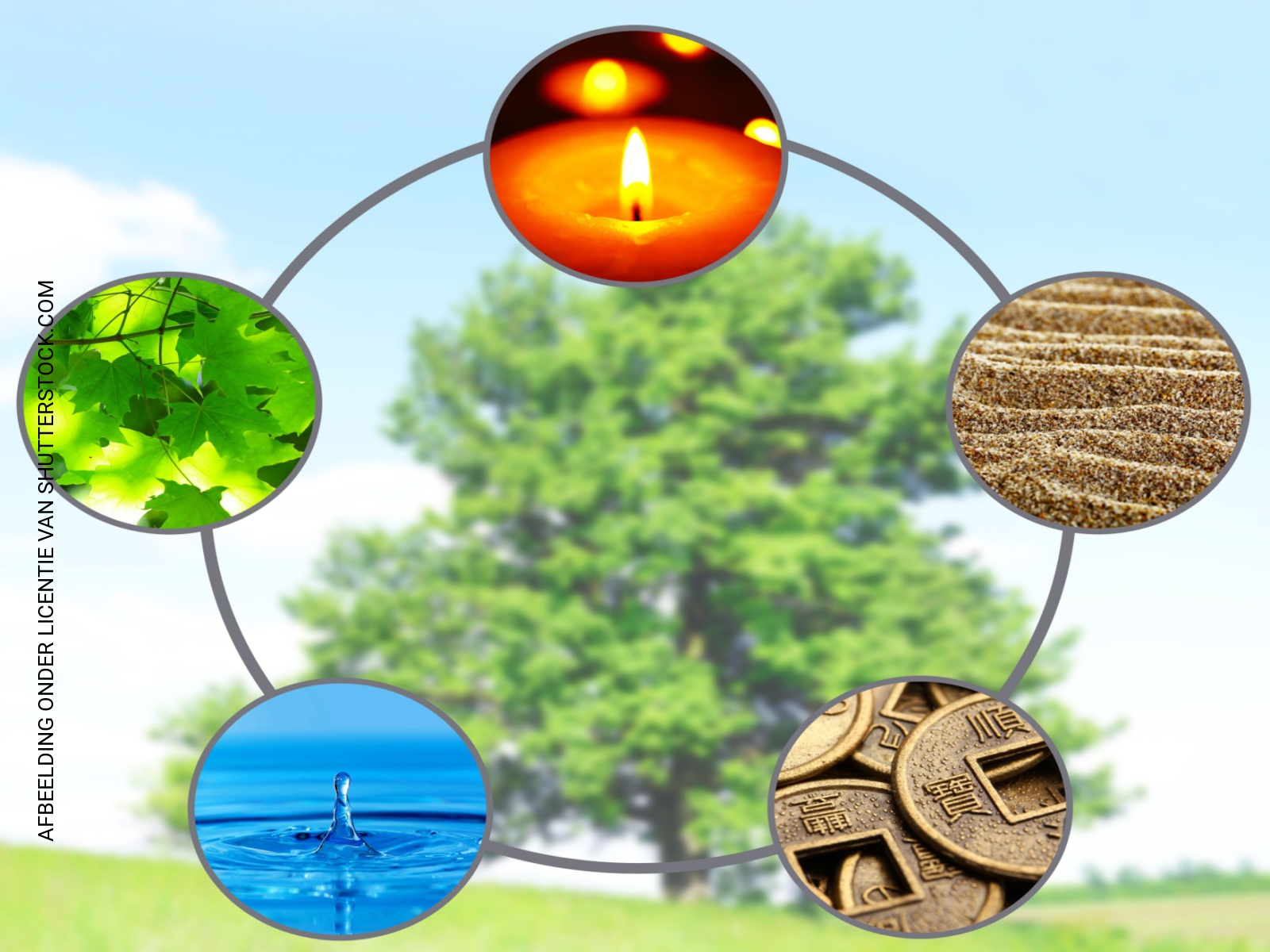 Het element hout: flexibiliteit en soepelheid
